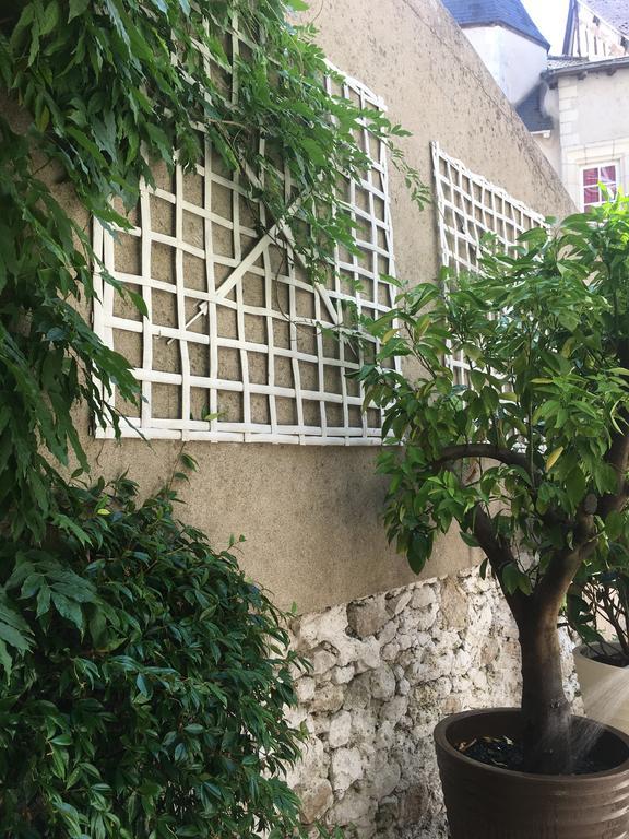 Maison Josephine Avec Garage Prive Μπλουά Εξωτερικό φωτογραφία